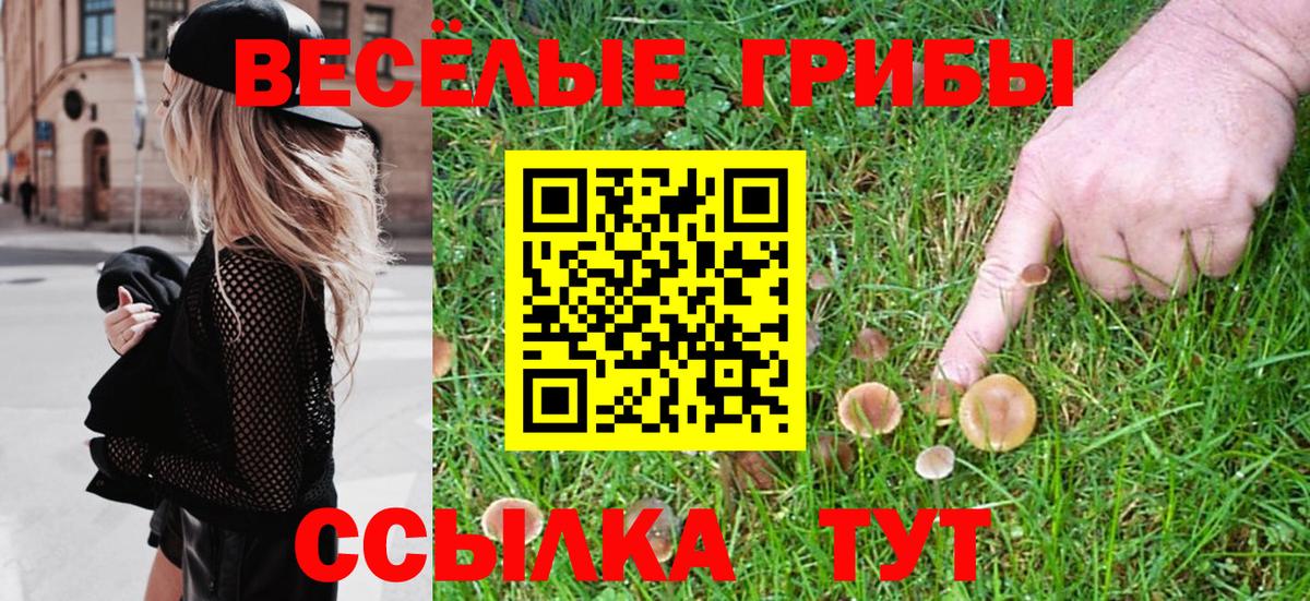 Североуральск  купить закладку  Вход с VPN  Псилоцибиновые грибы MAGIC MUSHROOMS  Псилоцибиновые грибы Psilocybe 